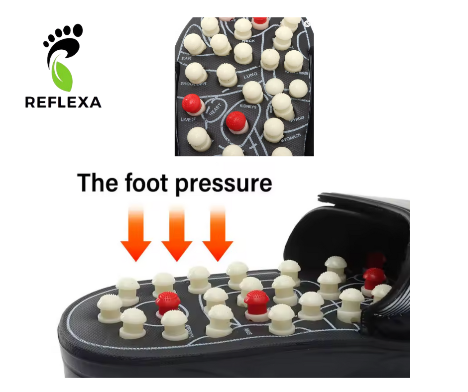 Reflexa™